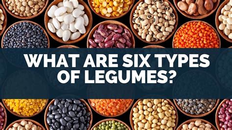 The Magical Legume: Food for the Body and Soul